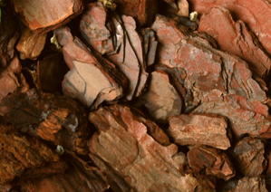 Grimsby Soil & Mulch Inc. Soil Plants Trees Rocks Grimsby